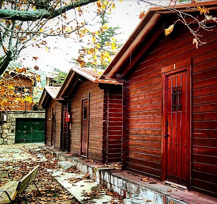 El entorno Albergue y cabañas de la finca